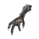 Four-Toed Fowl Foot