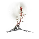 Sacramental Bud