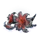 Fire Blossom