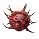 Alexander's Innards