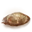 Serpent's Amnion