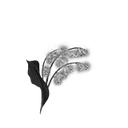 Grave Glovewort [3]