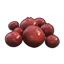 Red Berries icon