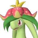 Dinossom icon