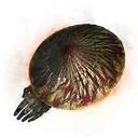 Suzaku's Lotus Umbrella icon