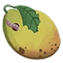 Mango??? icon