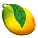 Mango icon